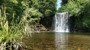 Una cascata in un ambiente naturale, con acque cristalline e vegetazione circostante.
