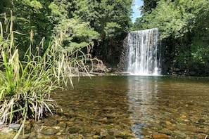 Une cascade située dans un environnement naturel, avec une eau claire et une végétation luxuriante tout autour.