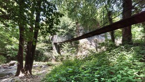 Un'area boscosa con un ponte di legno sopra un ruscello.