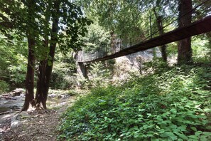 Un área boscosa con un puente de madera sobre un arroyo.