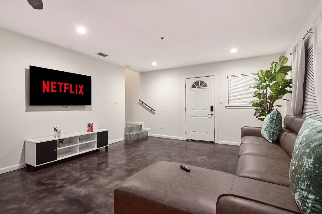 TV