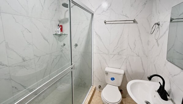 A bathroom with a glass-enclosed shower, a toilet, and a sink with a mirror.