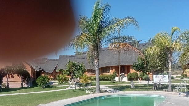 Una piscina con solárium de ladrillo, rodeada de palmeras y un edificio con techo de paja.