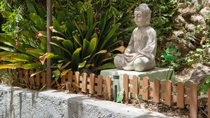 Une statue de Bouddha dans un jardin, entourée d’une clôture en bois, de verdure et de rochers.