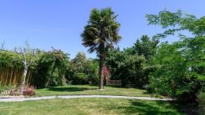Un jardin agrémenté d’un palmier, de divers arbustes et d’un chemin de gravier.