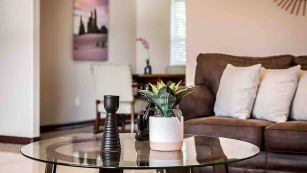 A living room with a glass coffee table, a brown sofa, and a potted plant. - Fast Wi-Fi Spacious & Cozy Central DT Home (McAllen)