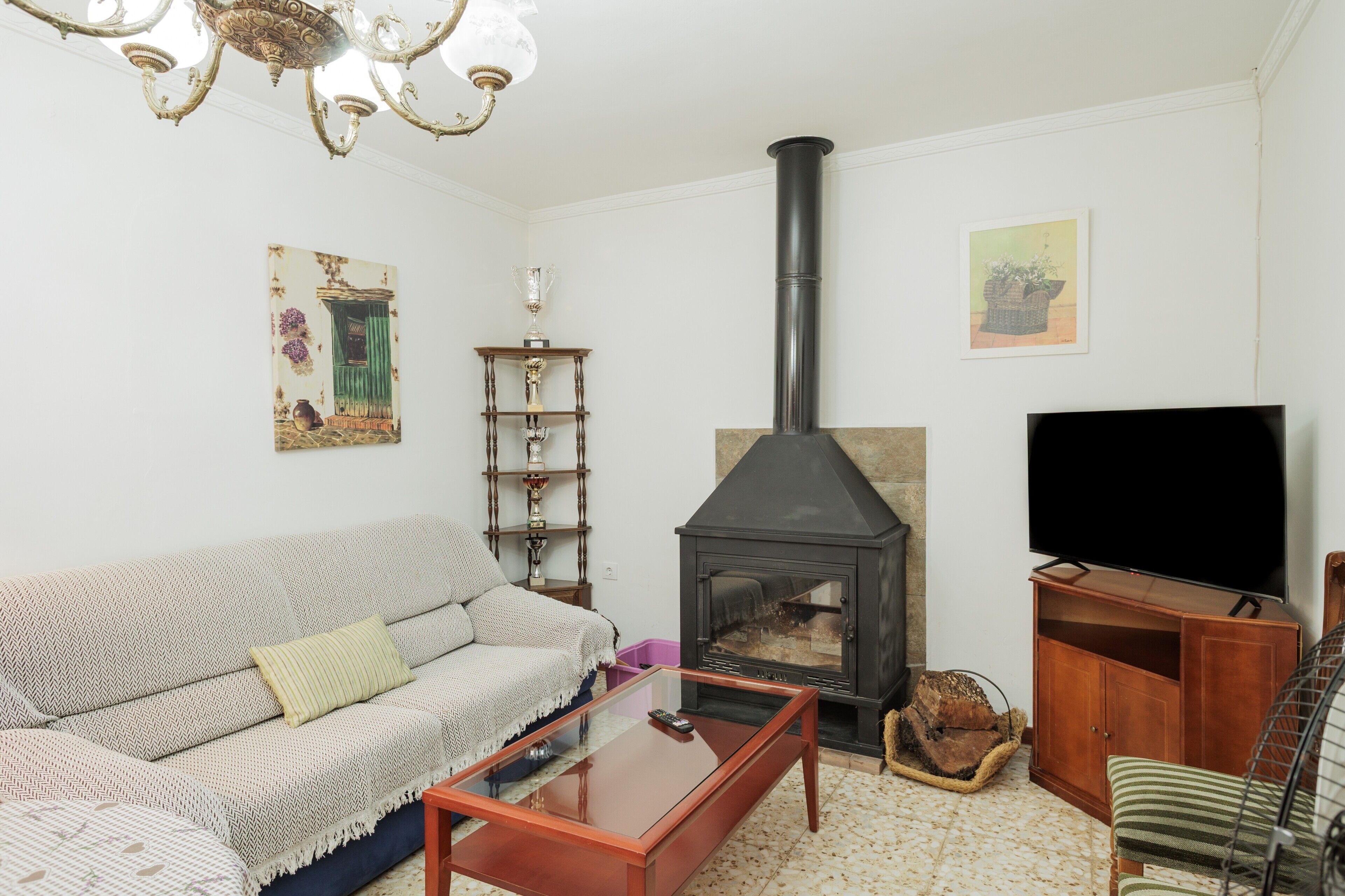 TV, fireplace