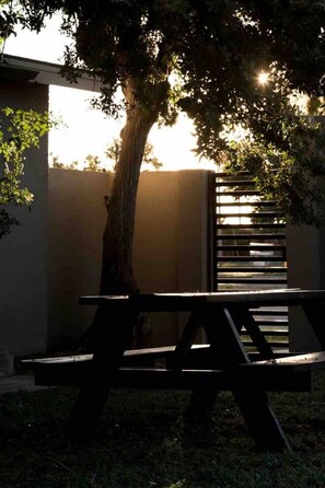 Una panchina all'ombra di un albero, con la luce del sole che filtra tra le foglie.