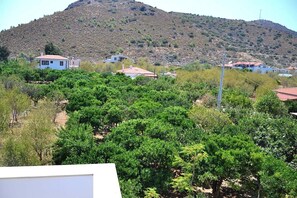 A hillside with buildings and dense green vegetation.
