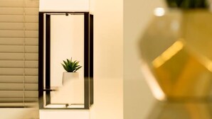 Um banheiro moderno com box de vidro, planta em vaso e bancada de mármore.