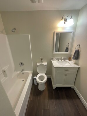 Bathroom - Quiet 3-bedroom house in serene Lamar just minutes from Lake Ludwig or downtown. (Lamar)