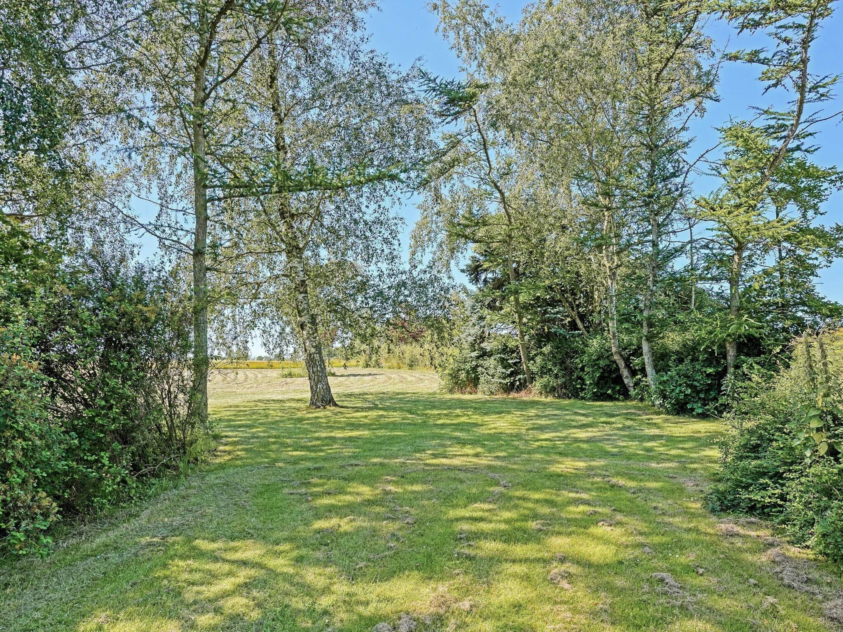 Un'area verde all'aperto con alberi e cespugli.