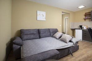 Een moderne woonkamer met een grijze bank, een klein keukenhoekje en een deur die naar een andere kamer leidt.