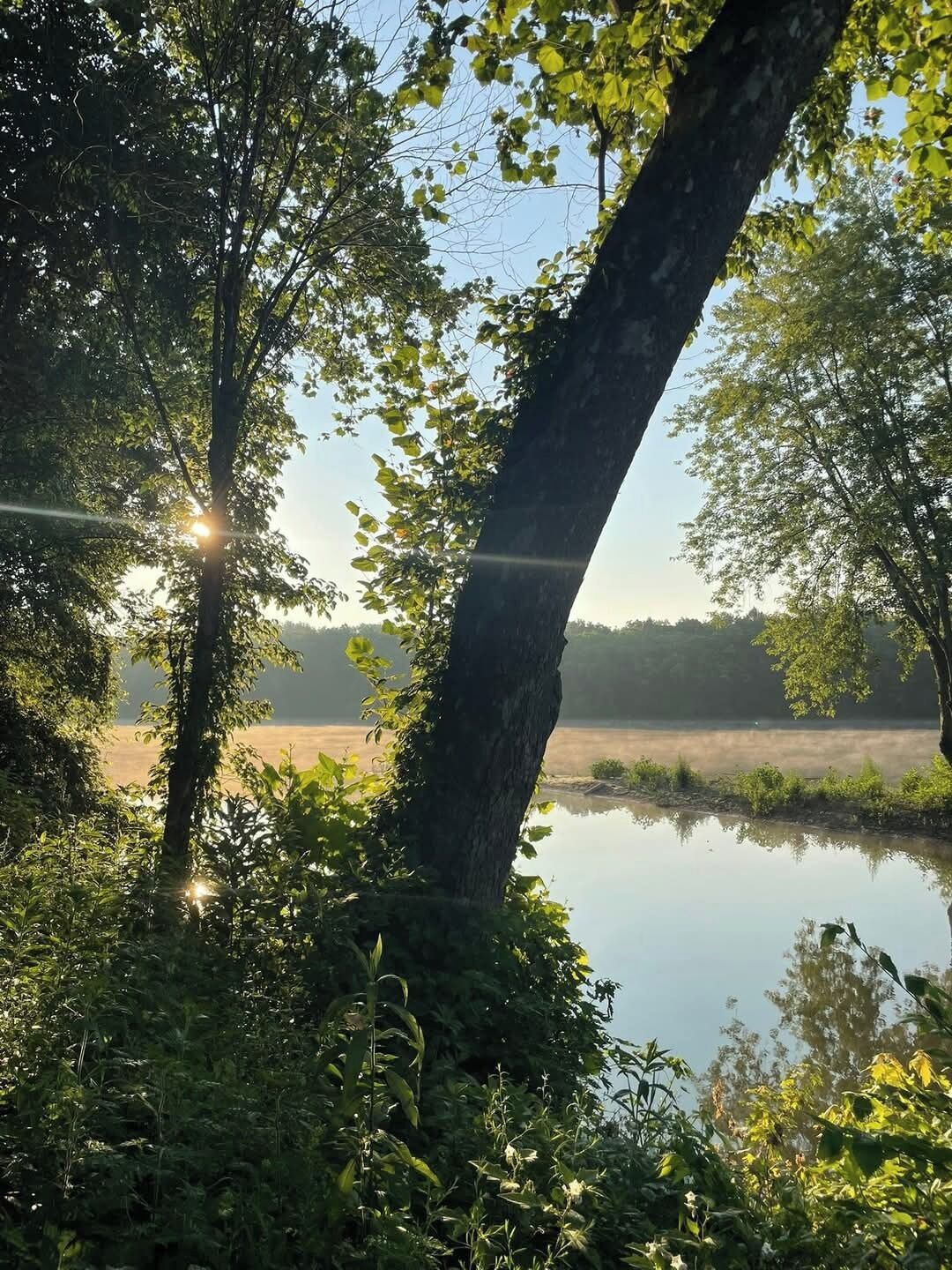 Een vredig meerlandschap met weelderige begroeiing en een rustig wateroppervlak dat de bomen weerspiegelt.