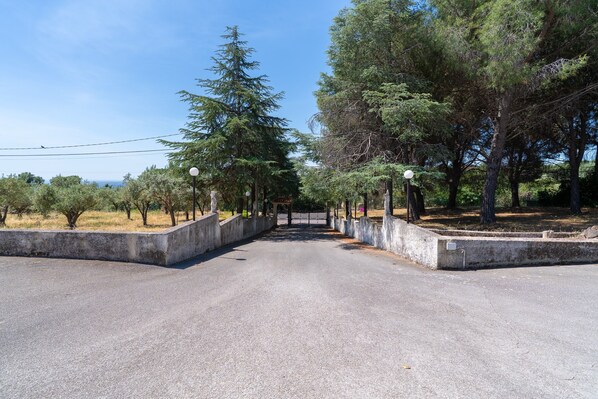 A paved road flanked by trees and lamp posts, leading to a gate. - Room in villa with garden, Wi-Fi and air conditioning (Solarino)