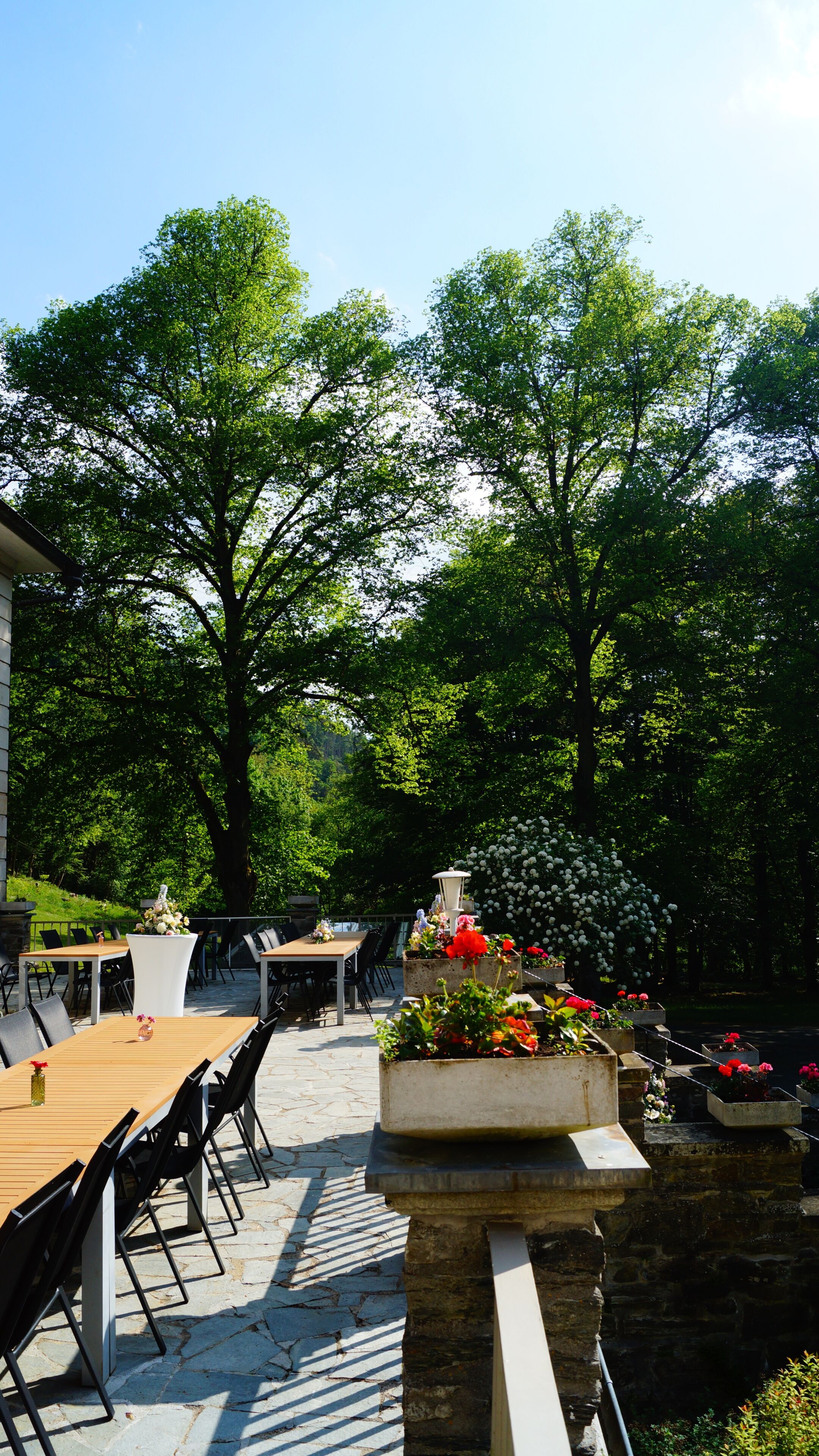 An outdoor seating area with tables and chairs, surrounded by lush greenery and trees.