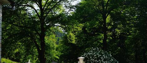 An outdoor seating area with tables and chairs, surrounded by lush greenery and trees.