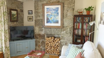 Una sala de estar con pared de piedra, chimenea, televisor, estantería y sofá.