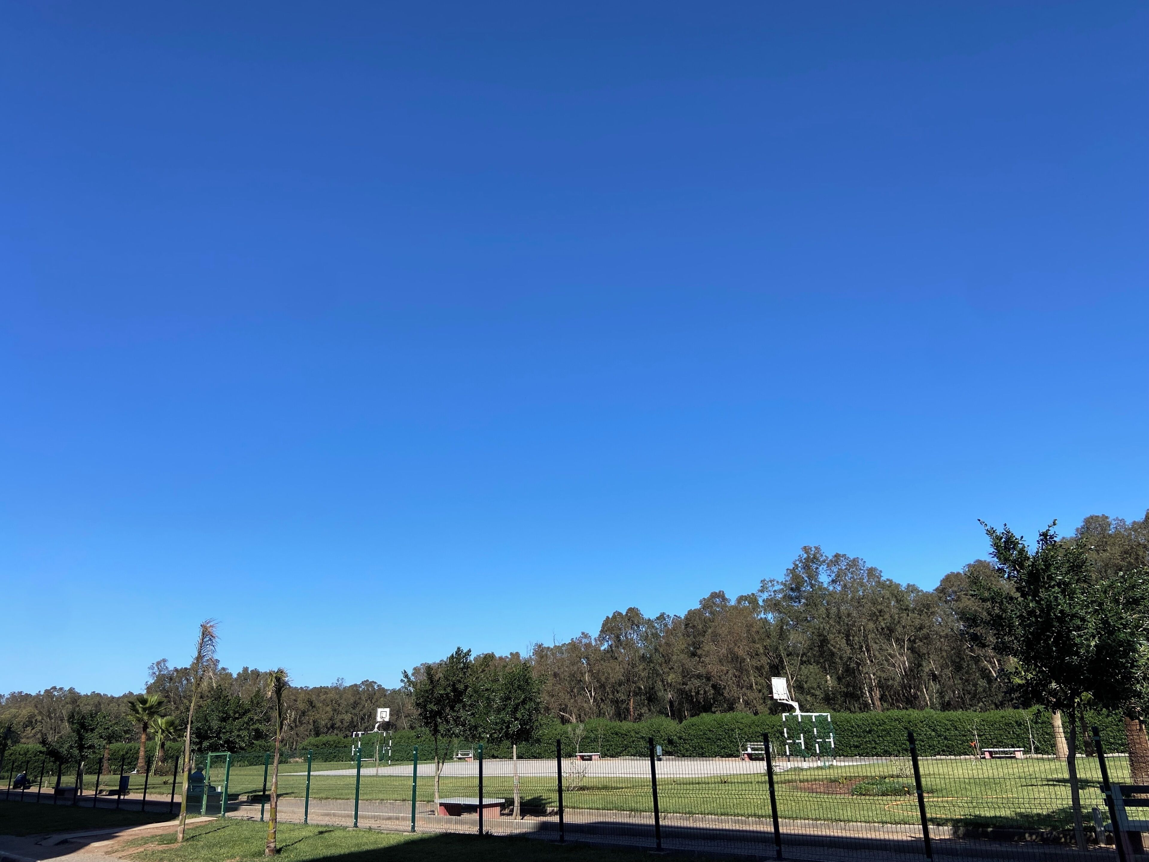 Un parque cercado con cielo despejado, árboles y un banco.
