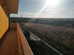 A balcony with a view of a cherry blossom orchard.