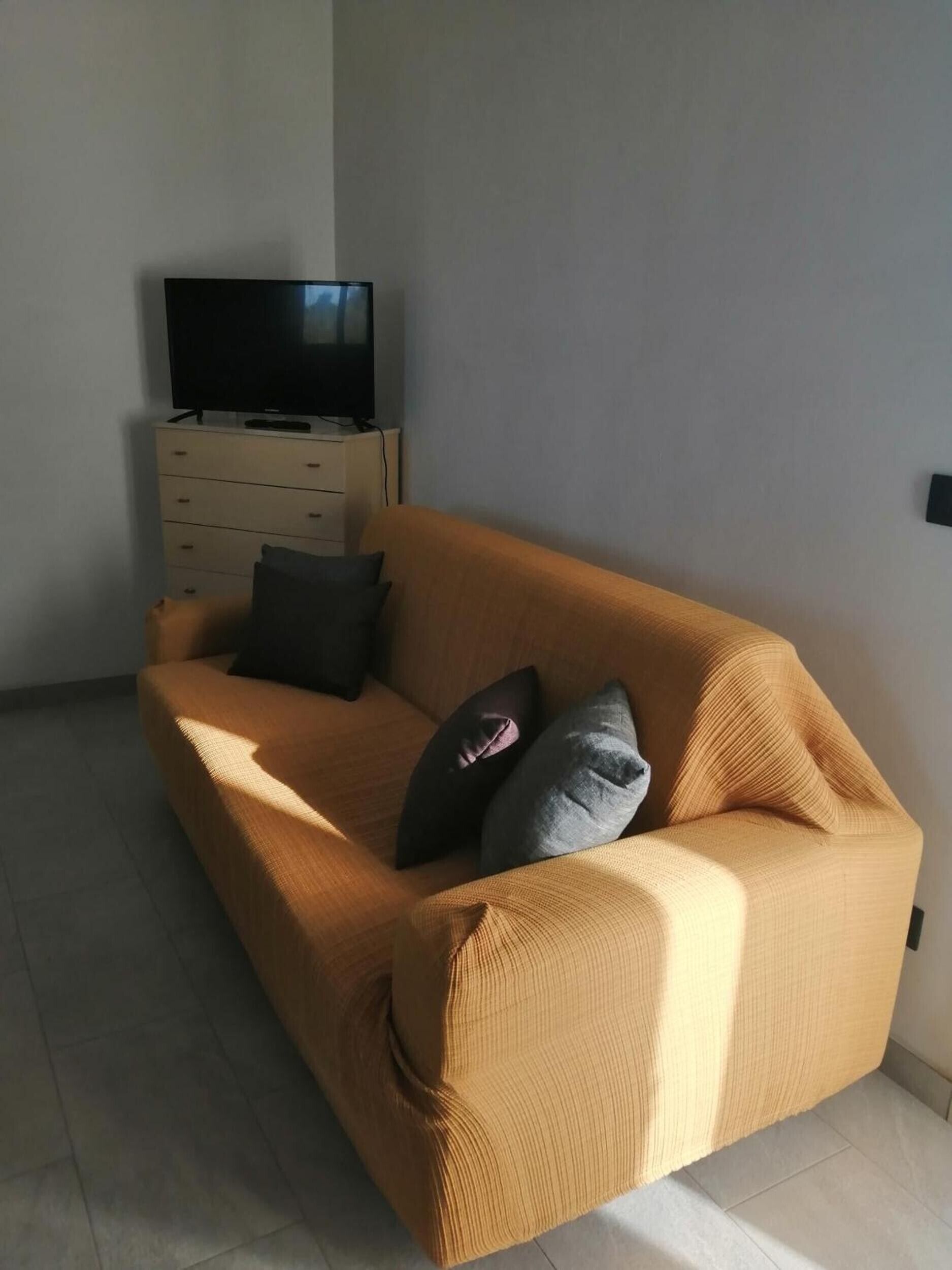 TV