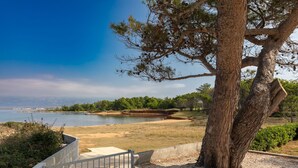 Een kustlandschap met een grote boom, een betonnen pad en uitzicht op de zee.