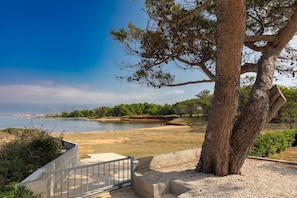 A coastal landscape with a large tree, a concrete pathway, and a view of the sea. - Holiday Home Manuela with Private Beach Access (Vir)