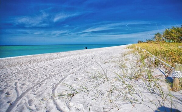 Tæt på stranden