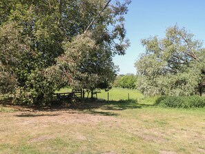 A rural landscape with trees, a fence, and a grassy field. - The Bowtop Gypsy Caravan (Eye)