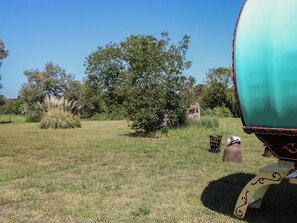 Un campo cubierto de hierba con un árbol, una construcción pequeña y un objeto cubierto.