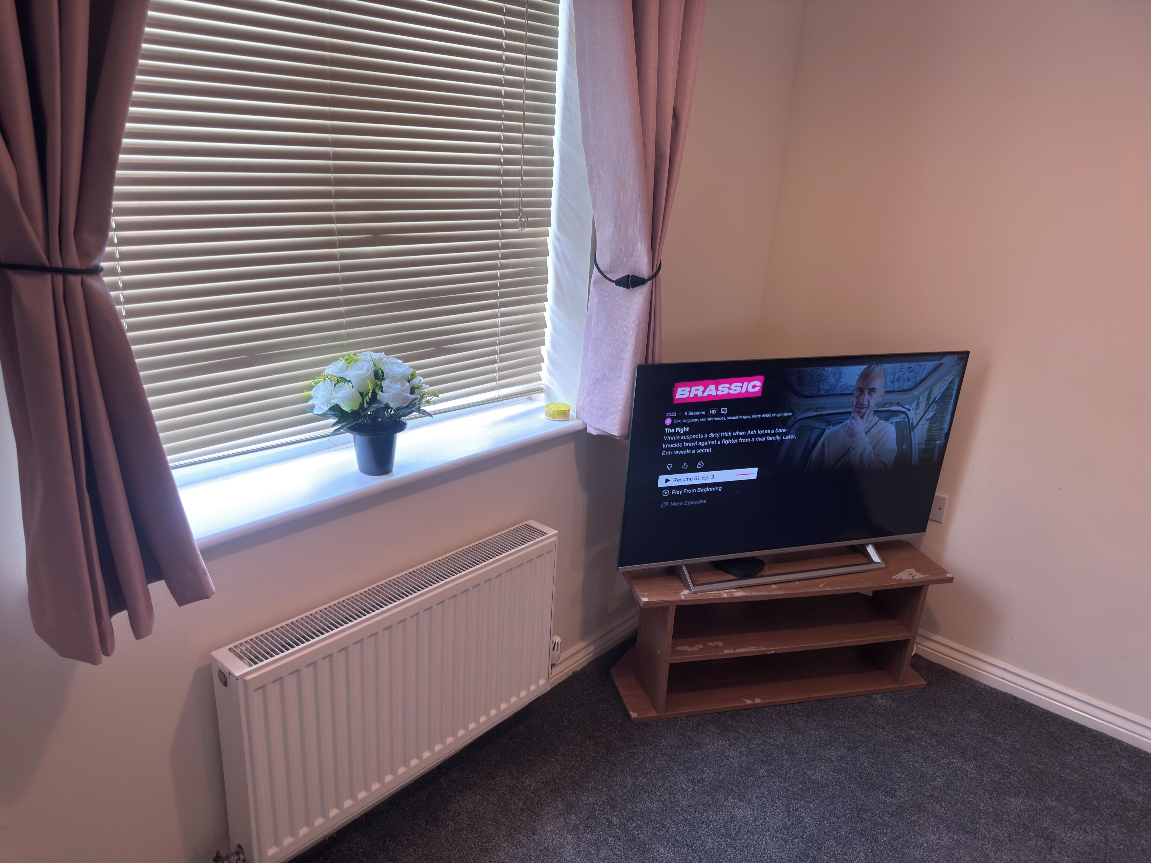 A television on a wooden stand, a window with blinds, a radiator, and a potted plant on the windowsill.