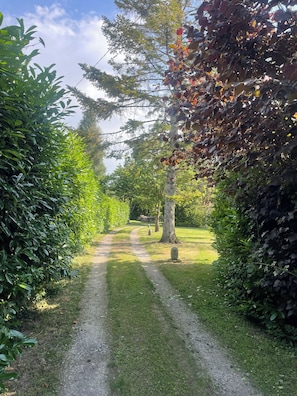 Ein Weg, gesäumt von dichtem Grün und Bäumen, führt in eine parkähnliche Anlage.