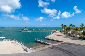 Vista costera con muelle, playa y palmeras.