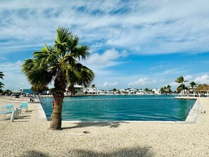 Zona de piscina con una palmera, guijarros y un cielo azul despejado.