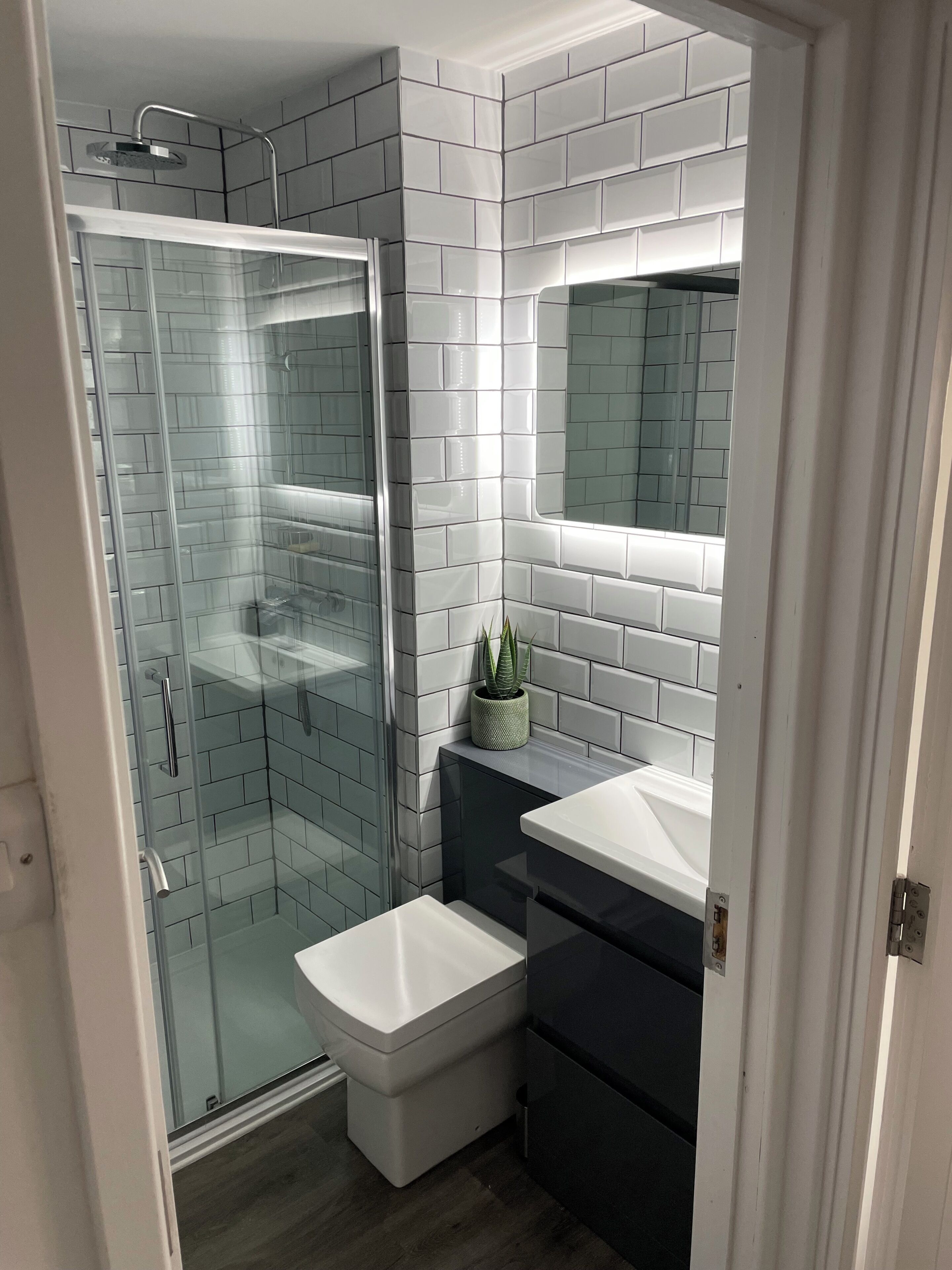 Shower, soap, toilet paper
