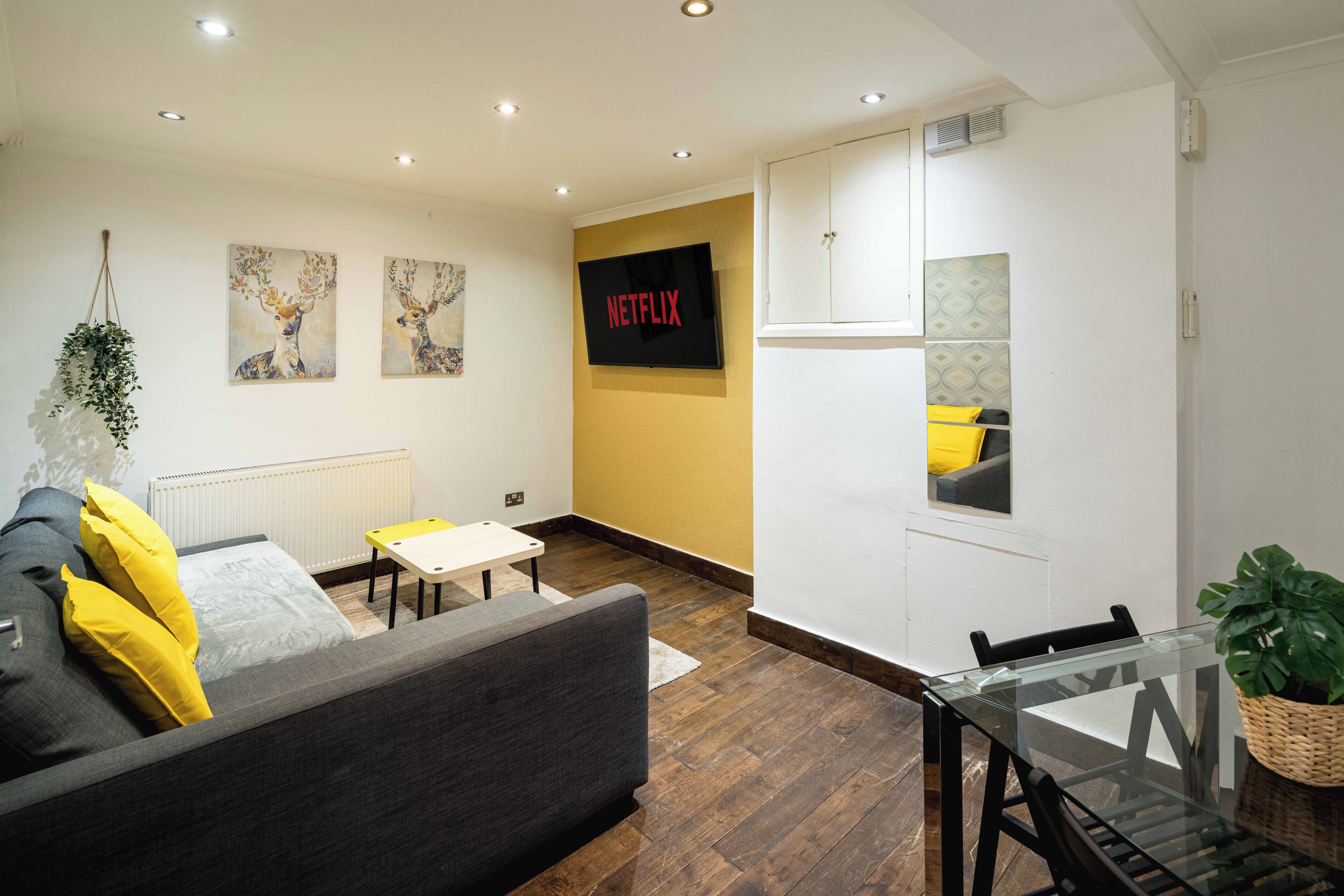 Smart TV