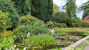 A garden with a pond, various plants, and a small wooden structure.