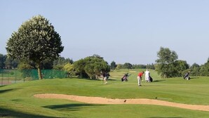 A golf course with a large tree, sand bunkers, and players in motion.
