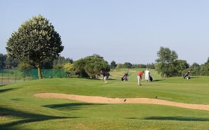 Un parcours de golf avec des bunkers de sable, des arbres et des joueurs.