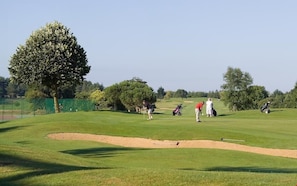 Un parcours de golf avec des bunkers de sable, des arbres et des joueurs.