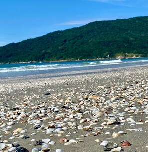 Ein Strand mit verstreuten Muscheln und einem bewaldeten Hügel im Hintergrund.