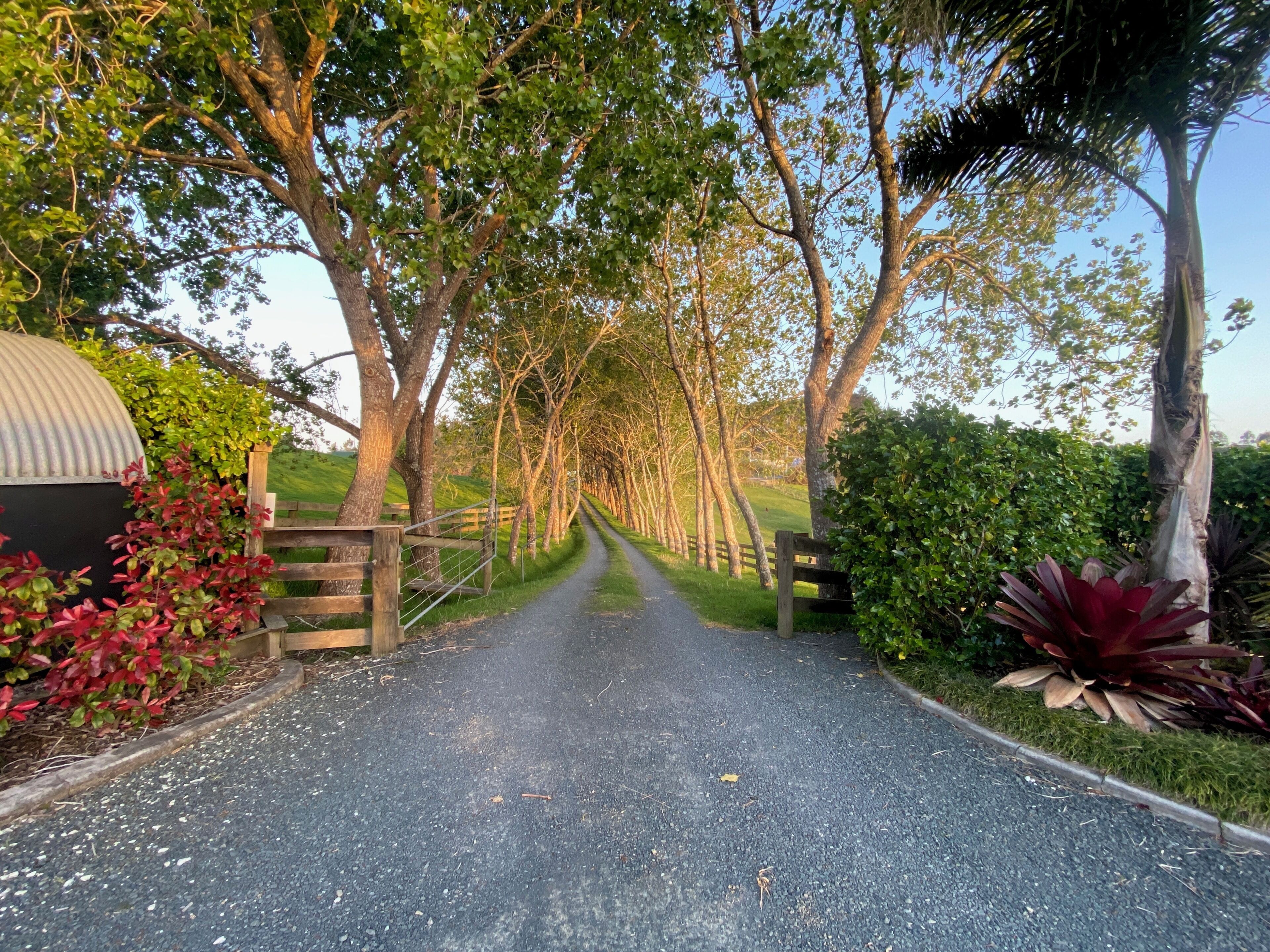 A rural road flanked by trees and greenery, leading to a gated entrance.
