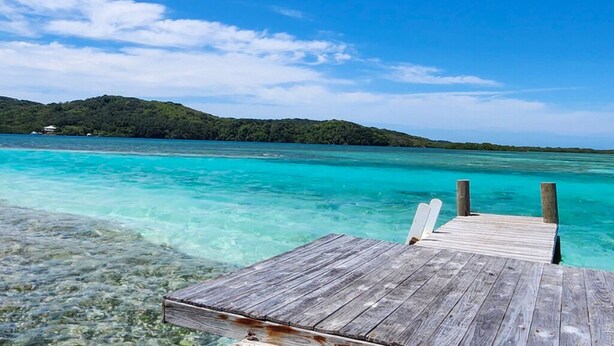 Une jetée en bois s’étendant dans des eaux turquoise et limpides, avec une île boisée en arrière-plan.