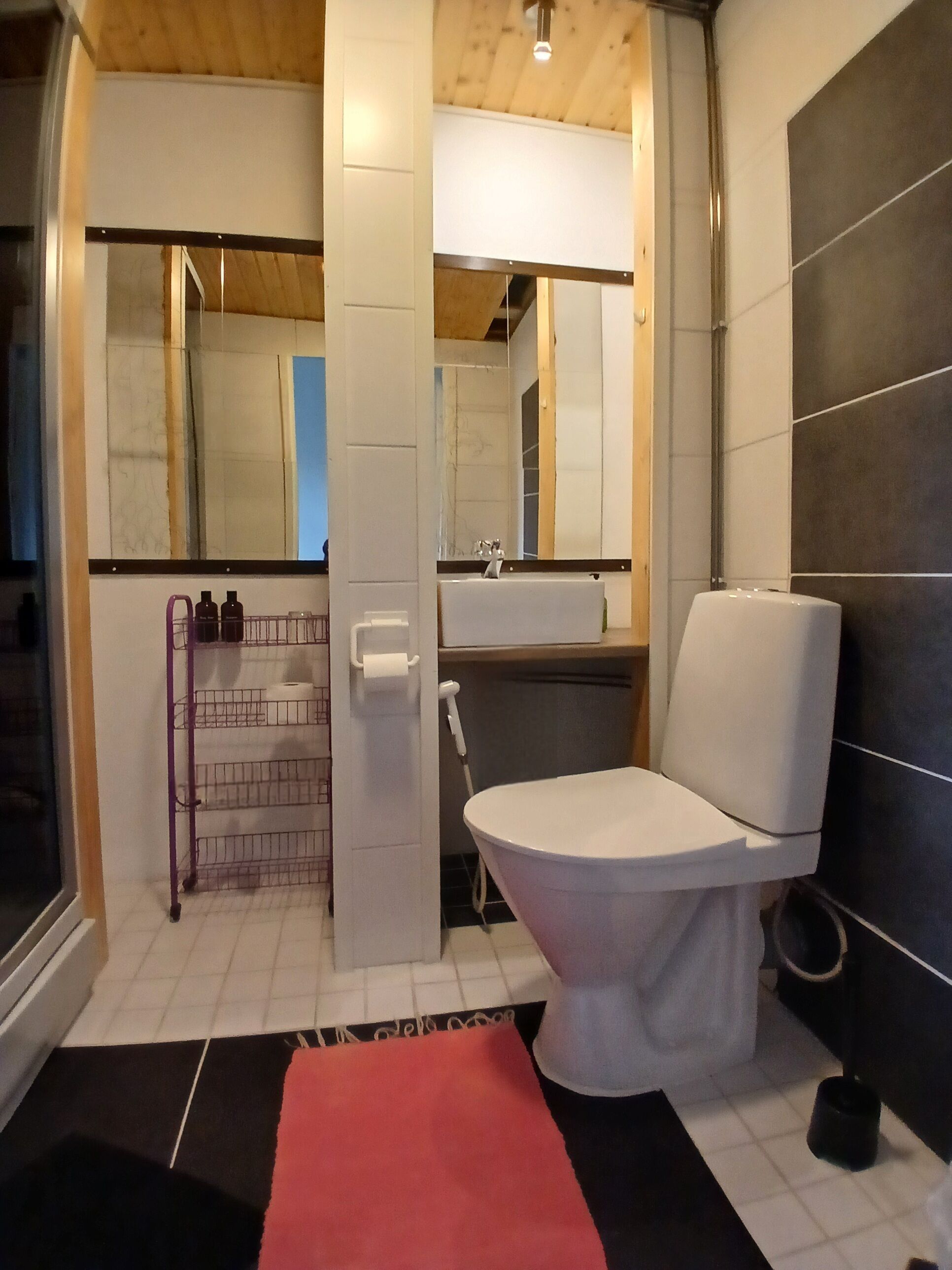 A bathroom with a toilet, sink, and mirror. There is a towel rack with bottles and a shower curtain. The floor has a black and red rug.