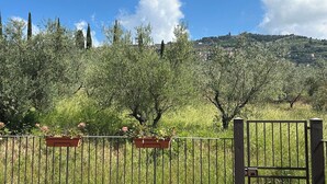 Ein von einer Hecke umgebener Außenbereich mit Bäumen und blauem Himmel.