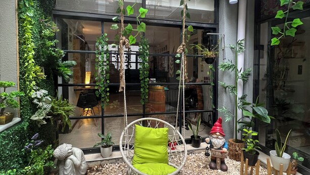 A cozy indoor garden with a hanging chair, pebbles, and various plants. - Allpa Andina Hostel (Mendoza)