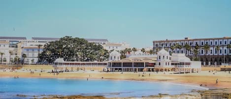 Et kysthotel med udsigt til stranden, et stort træ og flere bygninger.
