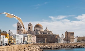 A coastal cityscape with historic architecture, including a prominent cathedral with domes and bell towers, a rocky breakwater, and a clear blue sky. - Nature Home by Cadiz Time (Cádiz)