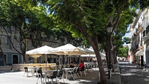 Tavoli all'aperto con ombrelloni, una fontana e alberi lungo una strada.
