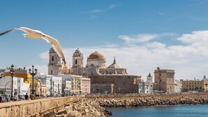 A coastal cityscape with historic architecture, a promenade, and a seagull in flight. - Loft Santa Maria by Cadiz Time (Ciudad de Cádiz)
